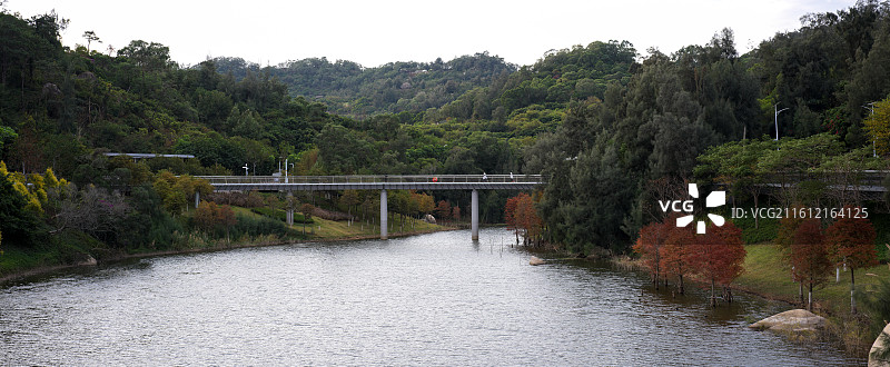 福建厦门东山水库跨桥与山林景致图片素材