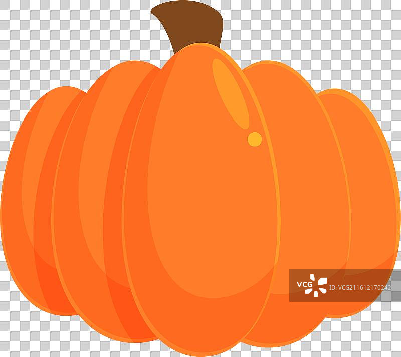 花园里生长的大个熟橙色南瓜图片素材