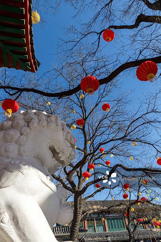北京春节地方传统特色琉璃厂厂甸庙会胡同喜庆花灯图片素材