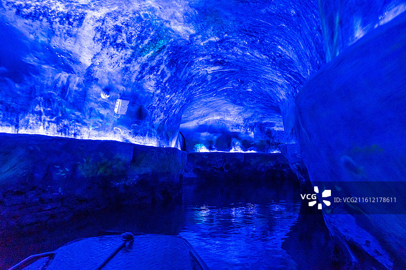 贵阳风景溶洞黔灵山猴子人文图片素材