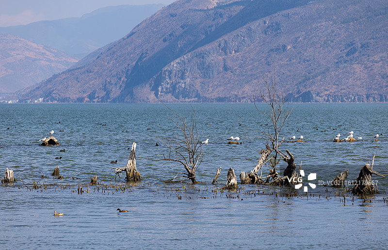大理洱海风景图片素材