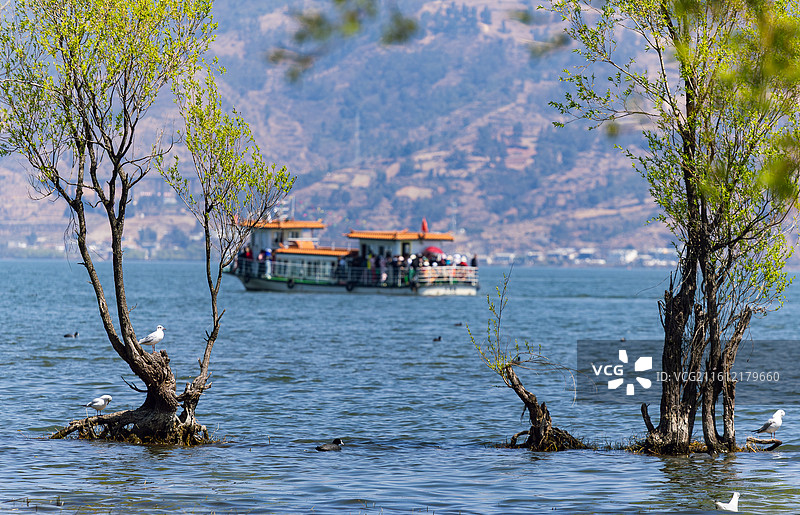 大理洱海风景图片素材