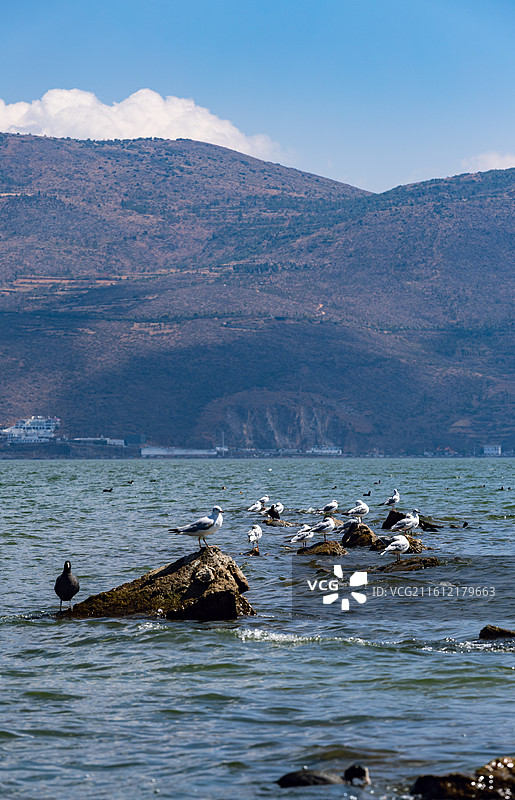 大理洱海风景图片素材