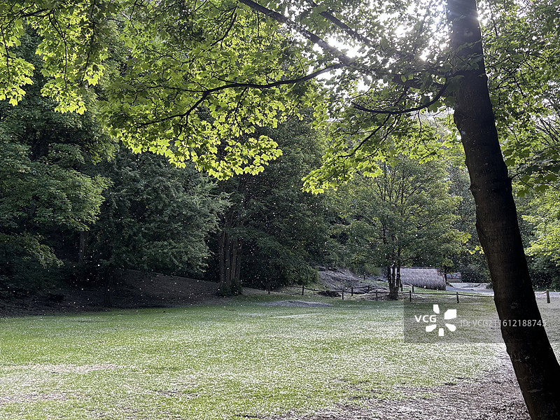 箭镇 华人村图片素材