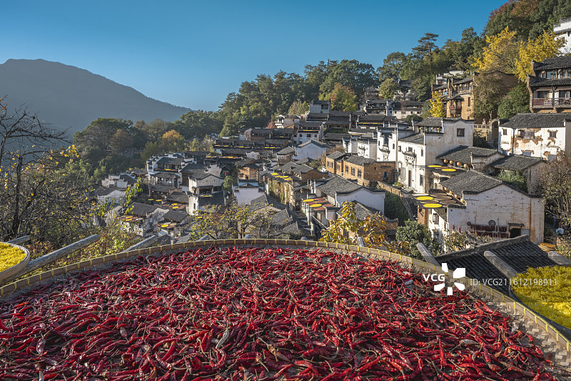 婺源乡村晒秋图片素材