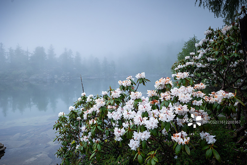 川西党岭图片素材
