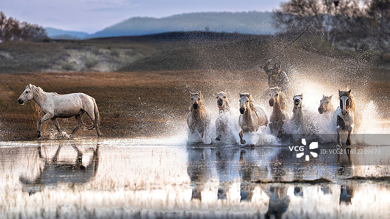 过河马图片素材
