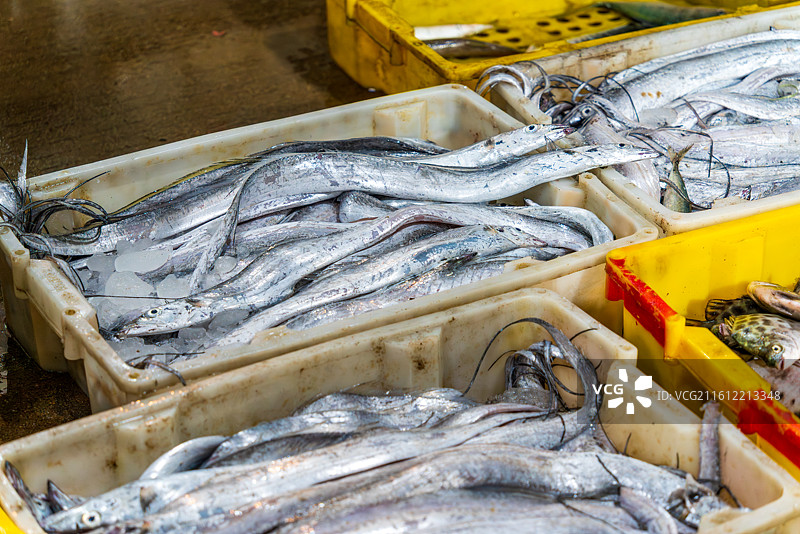 凌晨的惠州大亚湾渔港码头金门塘海鲜市场图片素材