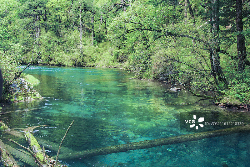 九寨沟五彩湖泊风光图片素材