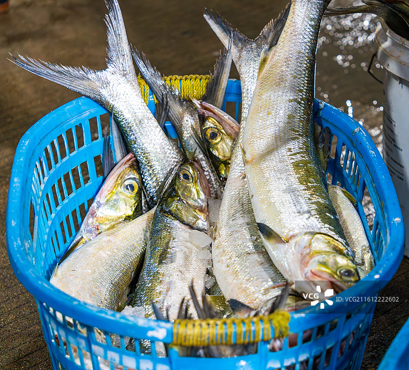 凌晨的惠州大亚湾渔港码头金门塘海鲜市场图片素材