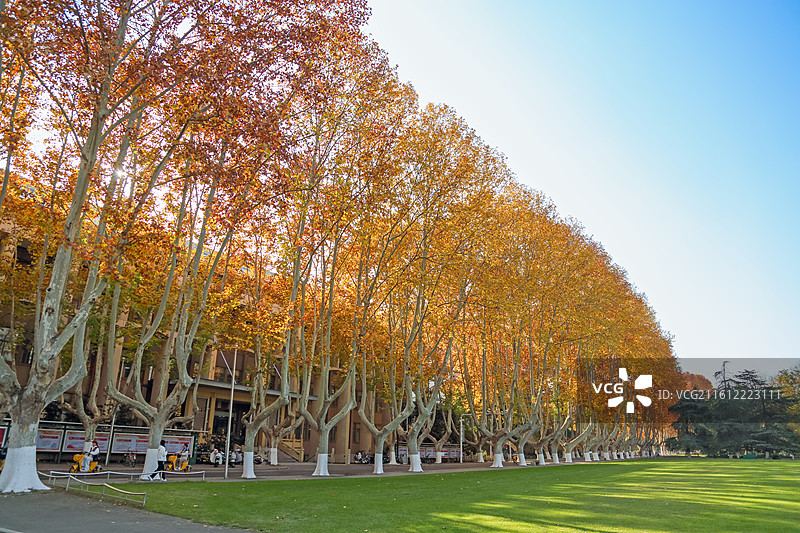 秋天的南京农业大学校园建筑图片素材