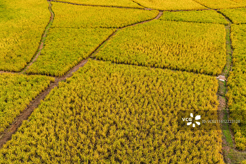 航拍广东广州从化良口镇米埗村稻喜湾图片素材