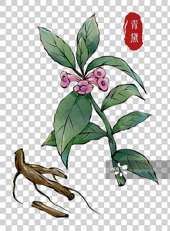 古代中医名医元素-中药材青黛图片素材