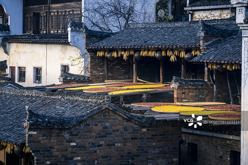 婺源乡村晒秋图片素材