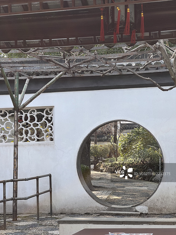 江南园林-南京瞻园内的树木和植物与湖水造景图片素材