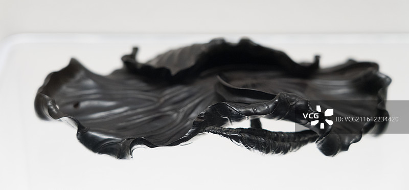 上海博物馆犀角杯特展图片素材