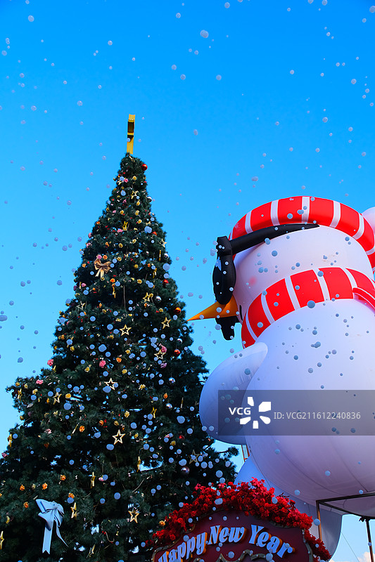 圣诞树，挂满金色和红色的球饰，背景是明亮的蓝天图片素材