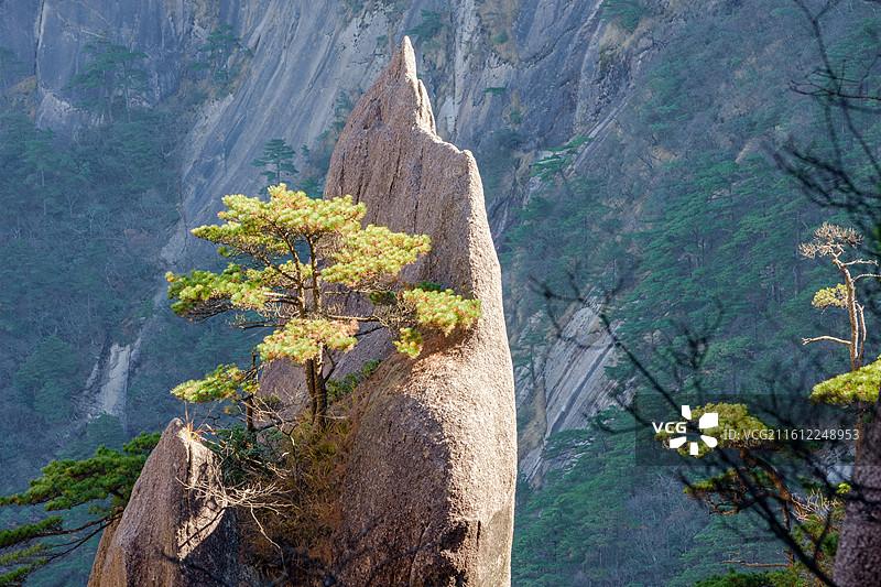 安徽黄山，蓬莱三岛。图片素材