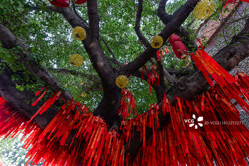 泉州蟳埔村妈祖宫顺济宫图片素材