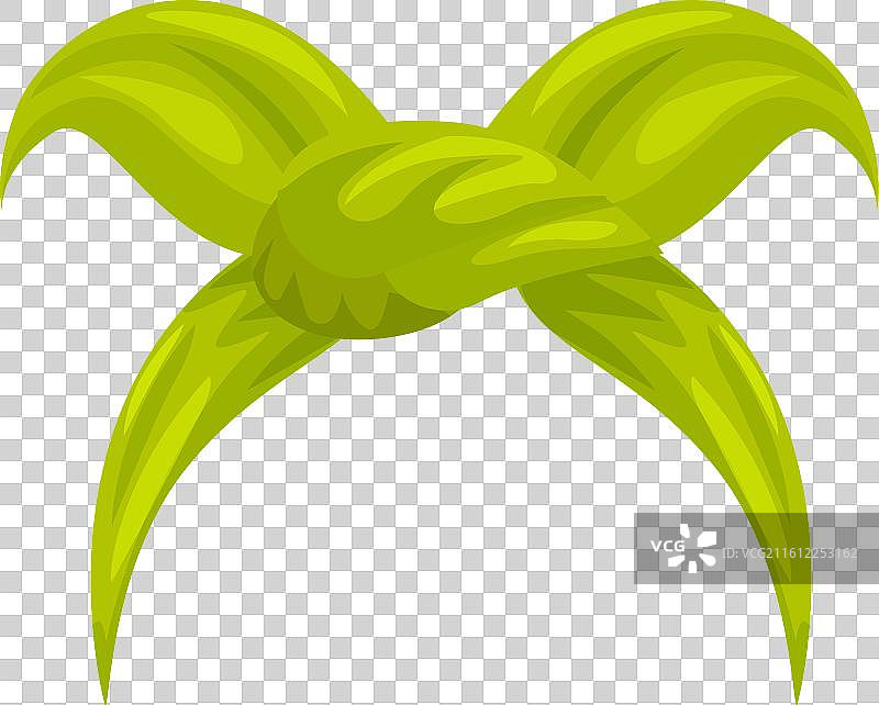 绿叶构成时尚的头巾，用于图片素材