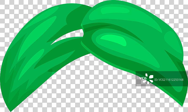 两片巨大的绿色热带叶子重叠在一起图片素材