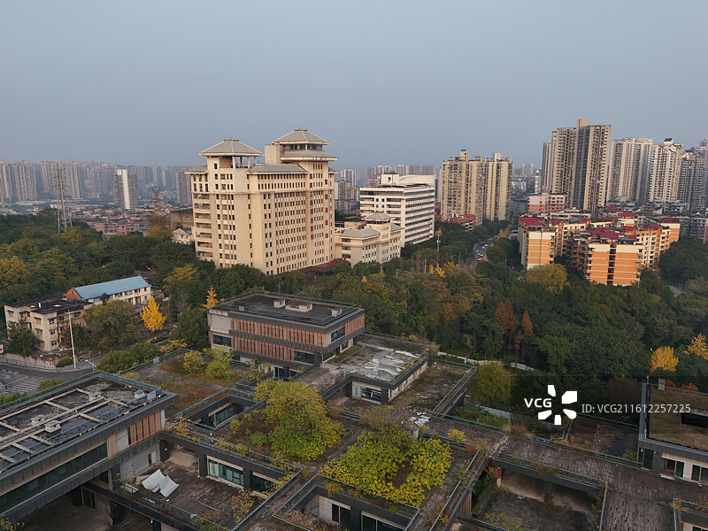 重庆市大渡口区中华美德公园图片素材