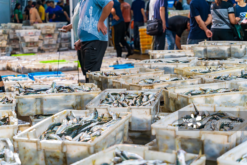 凌晨的惠州大亚湾渔港码头金门塘海鲜市场图片素材
