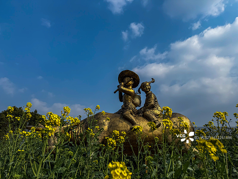 湖北沙洋张池油菜花田里的牧童雕塑图片素材