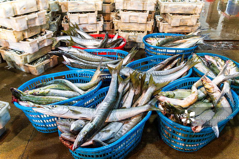 凌晨的惠州大亚湾渔港码头金门塘海鲜市场图片素材