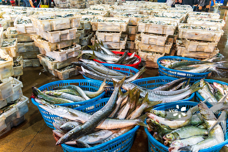 凌晨的惠州大亚湾渔港码头金门塘海鲜市场图片素材