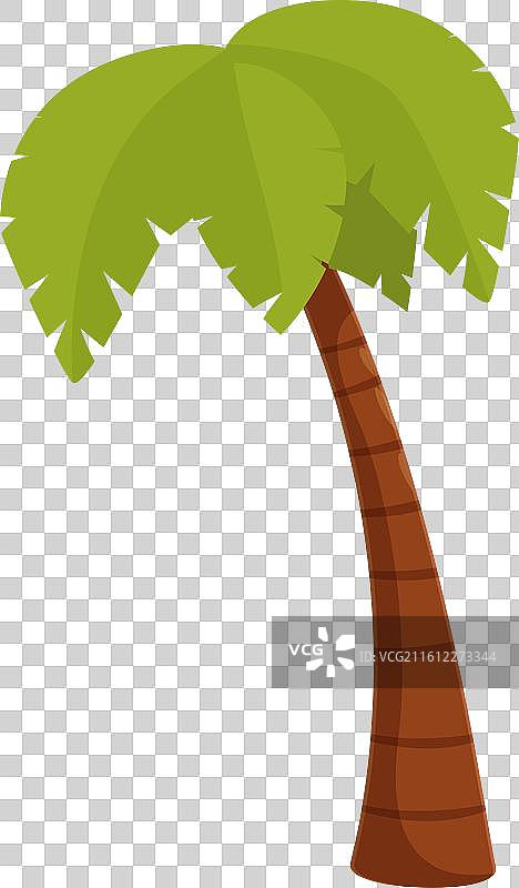 卡通风格的热带棕榈树高高挺立图片素材