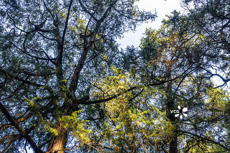 四川省广元市剑阁县剑门蜀道遗址图片素材