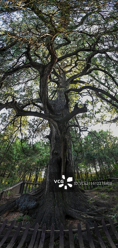 四川省广元市剑阁县剑门蜀道遗址图片素材