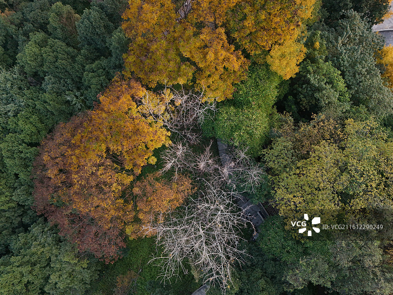 重庆市大渡口区中华美德公园图片素材