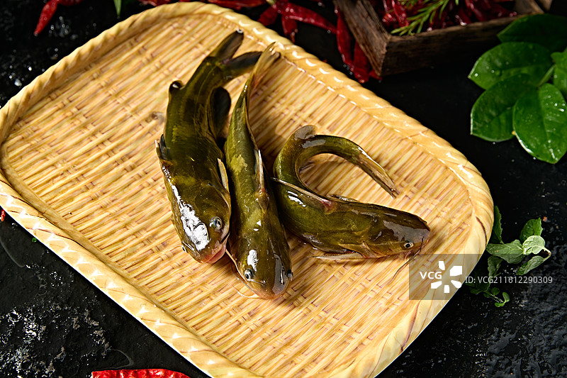 淡水河鲜黄辣丁鱼图片素材