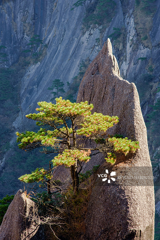 安徽黄山，蓬莱三岛。图片素材