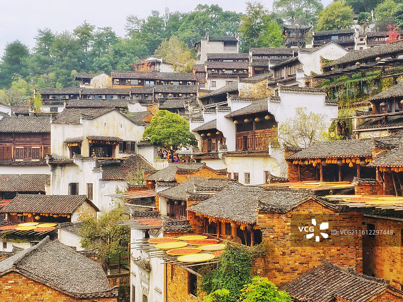 晒秋，篁岭的秋日光信片一黛瓦白墙藏秋韵，篁岭晒秋是寄给季节的短笺，我的诗与远方。图片素材