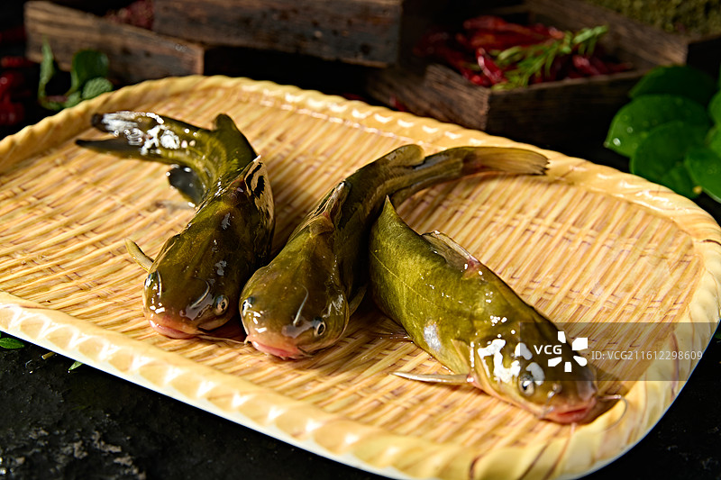 淡水河鲜黄辣丁鱼图片素材