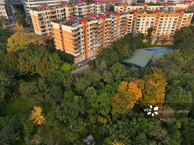 重庆市大渡口区中华美德公园图片素材