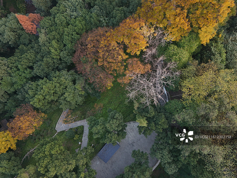 重庆市大渡口区中华美德公园图片素材