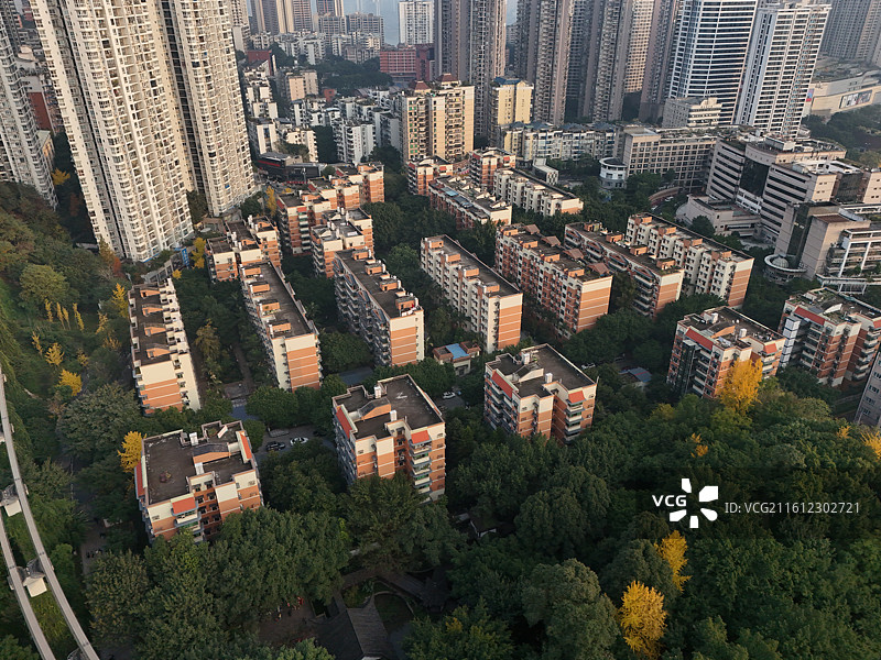 重庆市大渡口区中华美德公园图片素材