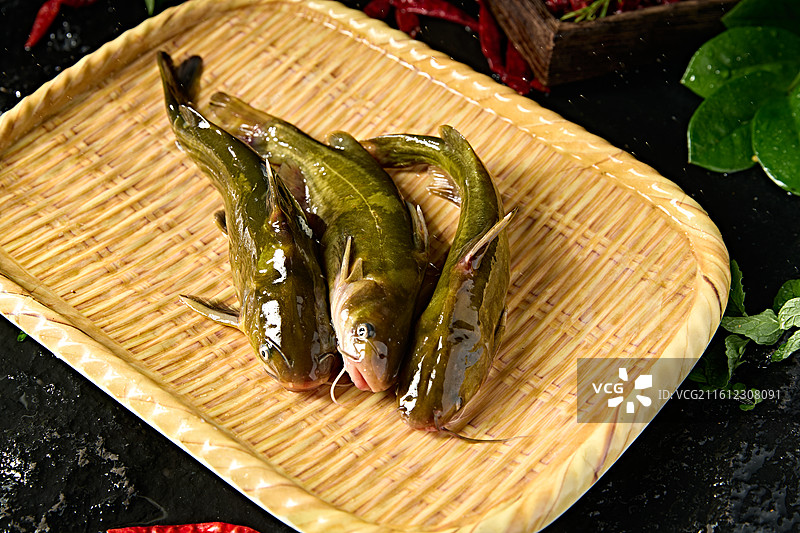 淡水河鲜黄辣丁鱼图片素材