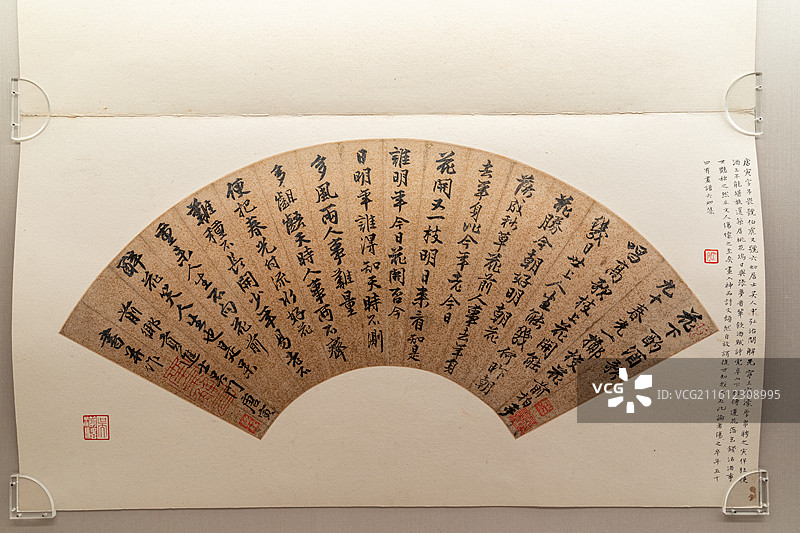 行书花下酌酒歌扇页 金笺 明代 唐寅 上海博物馆图片素材