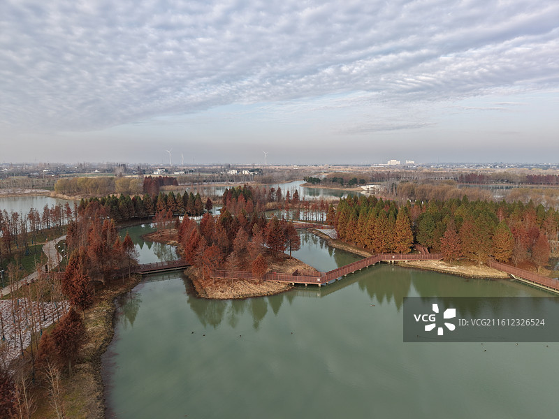 扬州北湖国家湿地公园的冬天图片素材