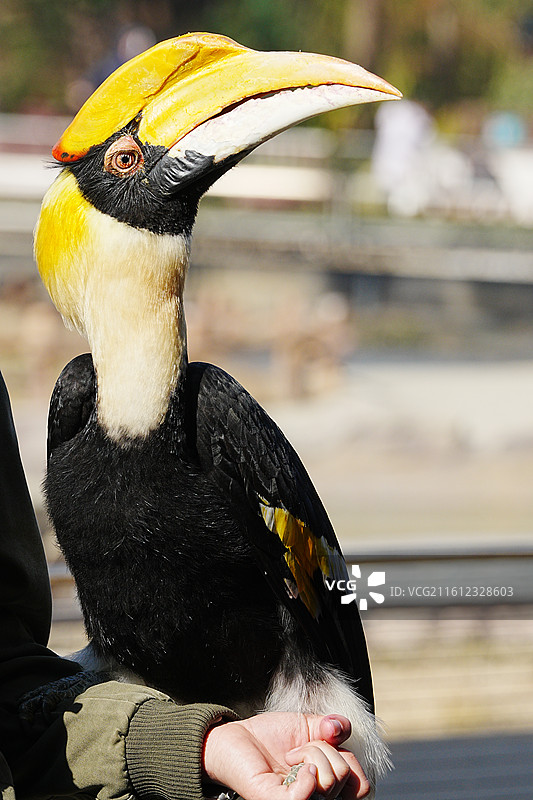 上海野生动物园图片素材