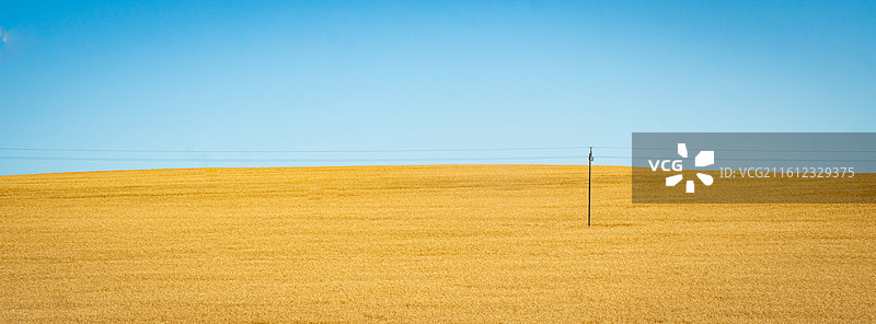 无尽麦田（花园大道，开普敦，南非）图片素材