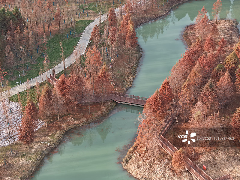 扬州北湖国家湿地公园的冬天图片素材