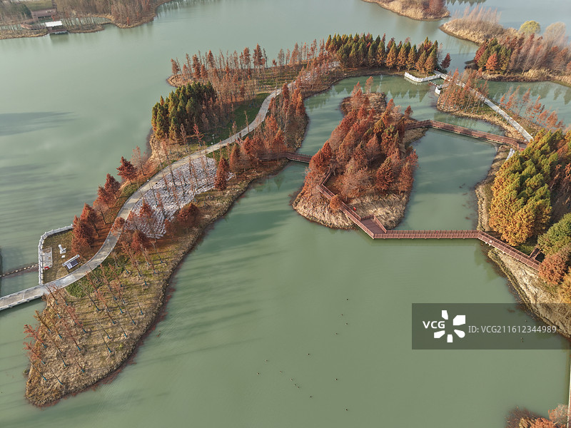 扬州北湖国家湿地公园的冬天图片素材