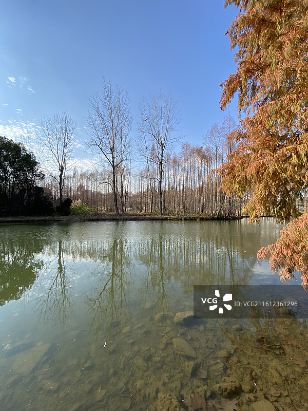 上海世纪公园冬天镜天湖景色图片素材