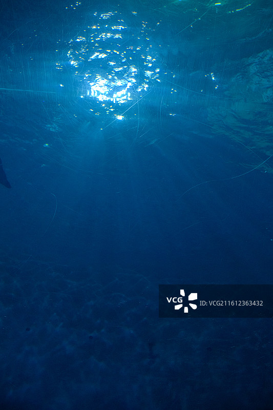 杭州长乔极地海洋公园图片素材